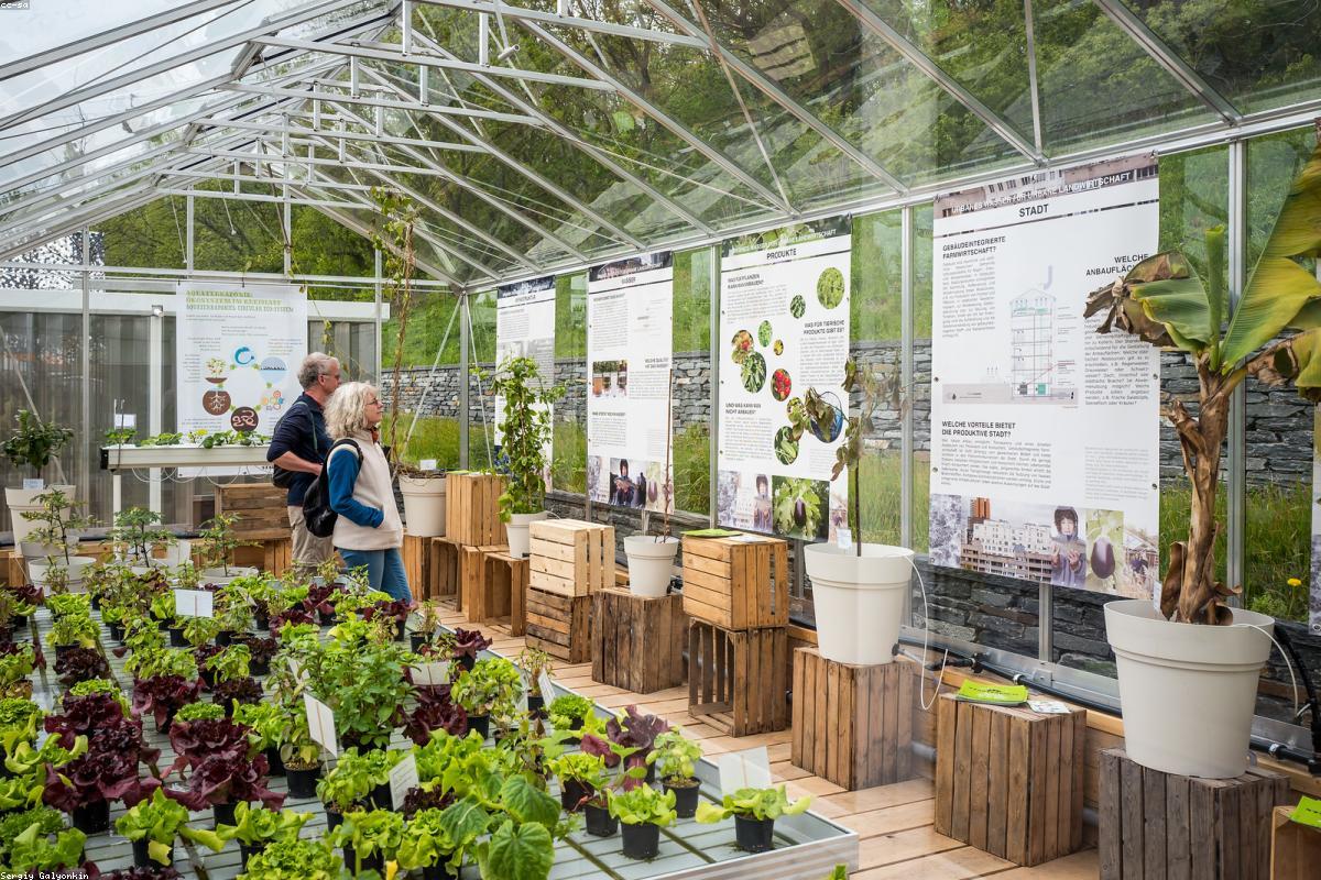 Jardinage durable : comment éviter l'impact environnemental ?
