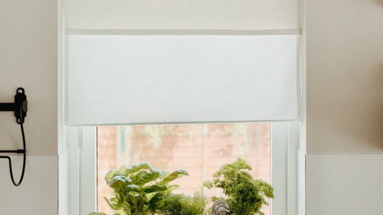Cultiver herbes aromatiques intérieur : astuces jardin hiver