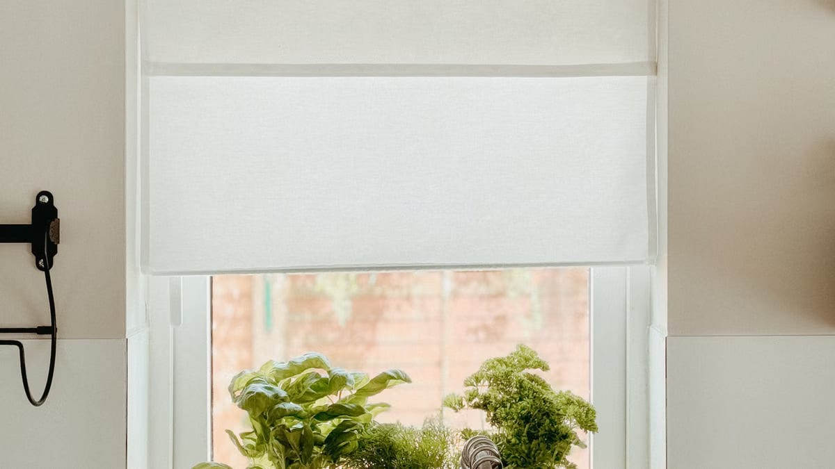 Cultiver herbes aromatiques intérieur : astuces jardin hiver