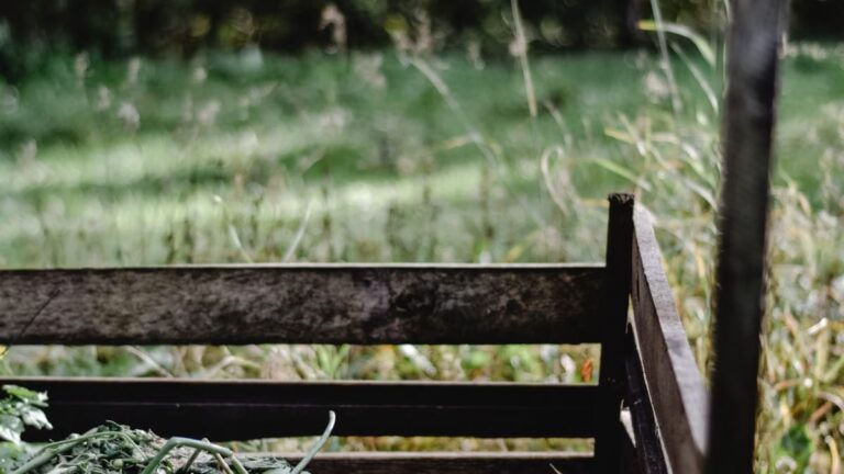 Techniques de compostage rapide pour l'automne
