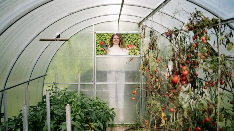 Cultiver des légumes d'hiver en serre : le guide complet