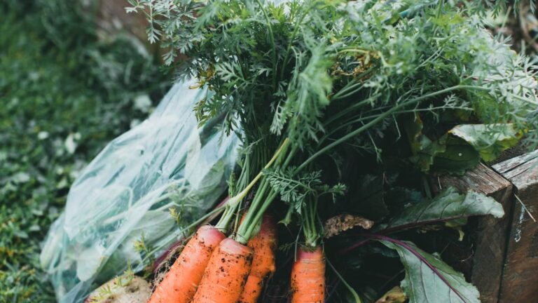 Les meilleures associations de légumes pour l'hiver